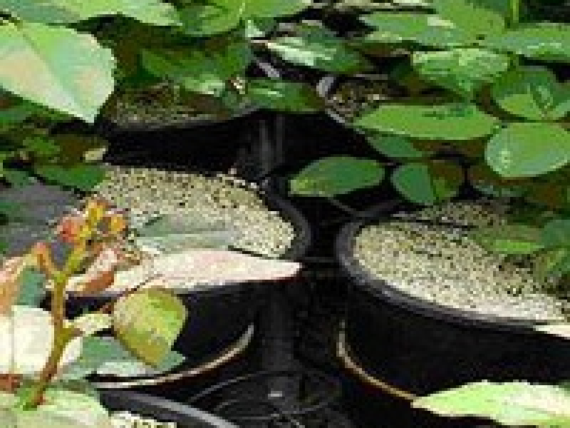 Expandovaný perlit EP180